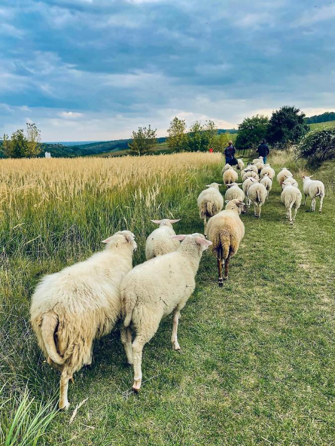 Farma Ovci Terasy Villa Němčičky Exteriör bild